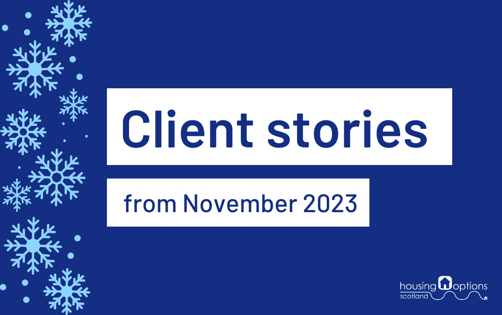 Dark blue background with pale blue snowflakes on the left. Text reads Client stories from November 2023.